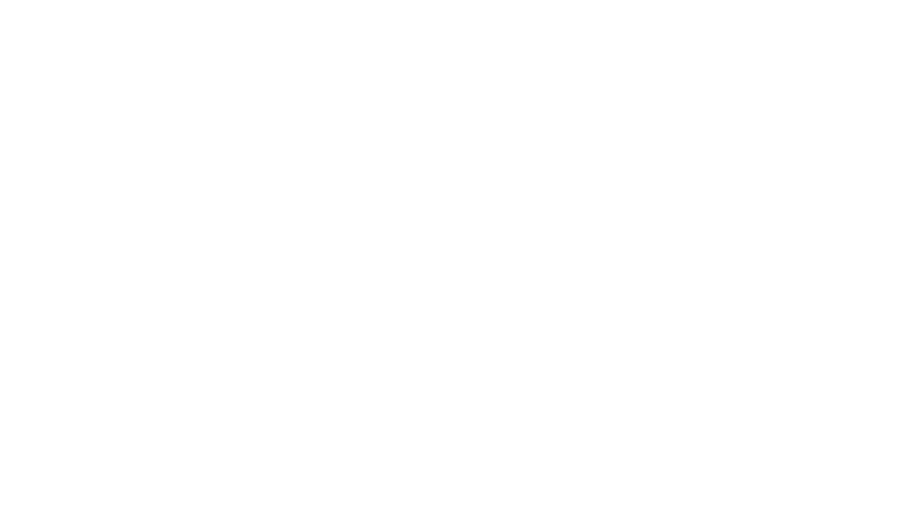 Logo for Run for the Zoo