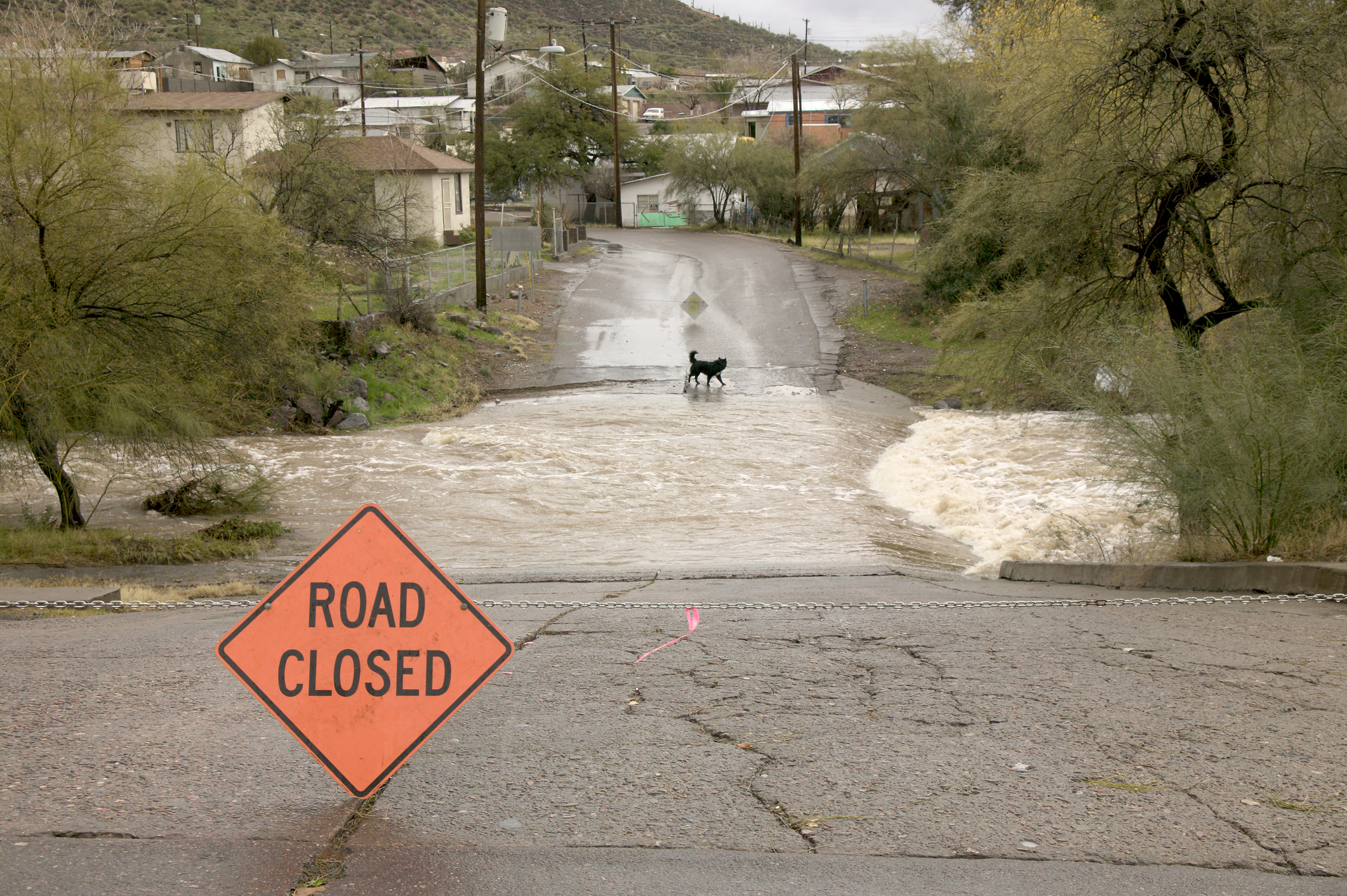 Consumer Guide: Flood Insurance