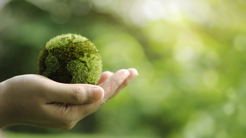 4 Ways the Sustainability Niche Can Transform Your Business